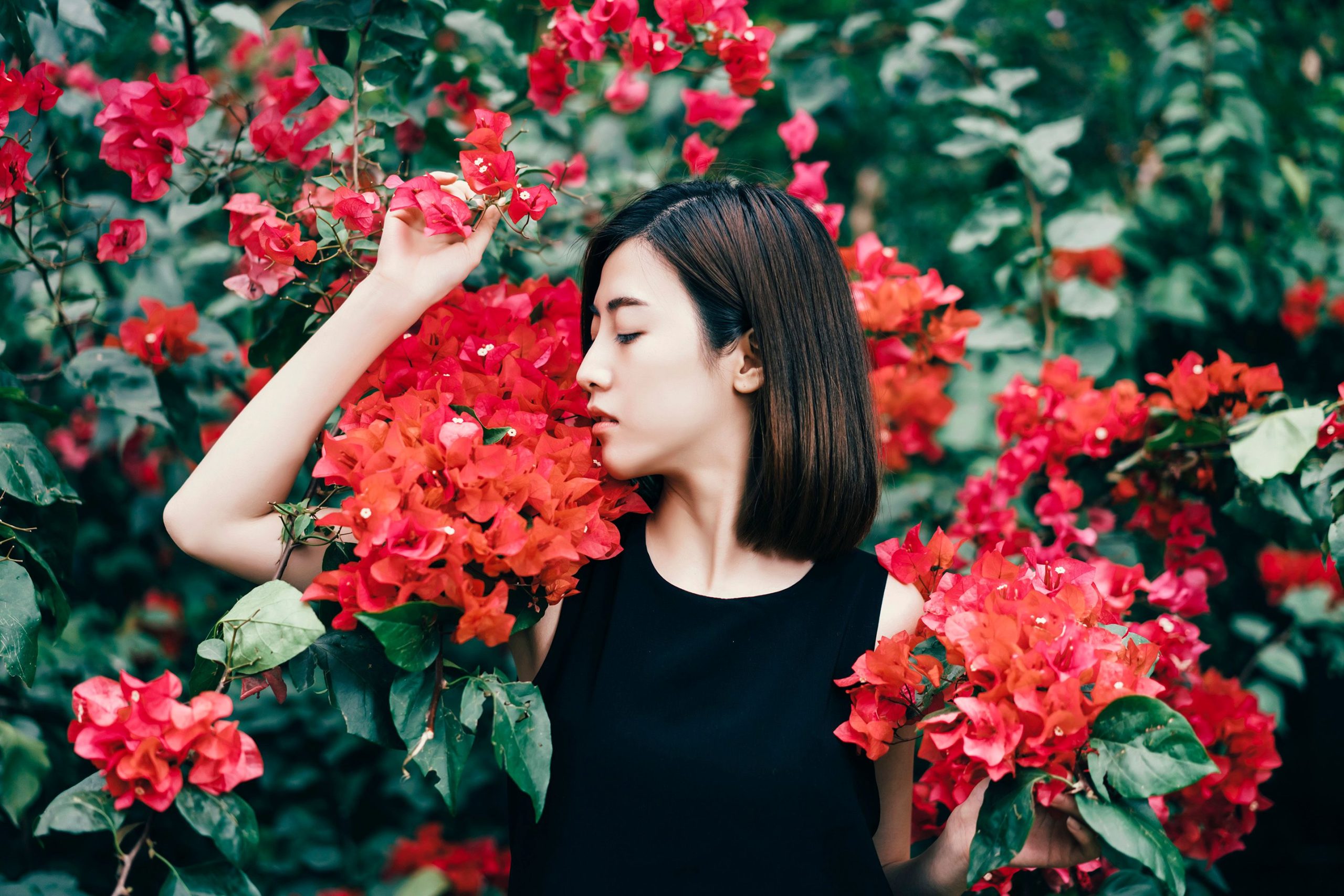 越南新娘的婚礼舞蹈,究竟有什么秘诀让现场气氛如此热烈? 一