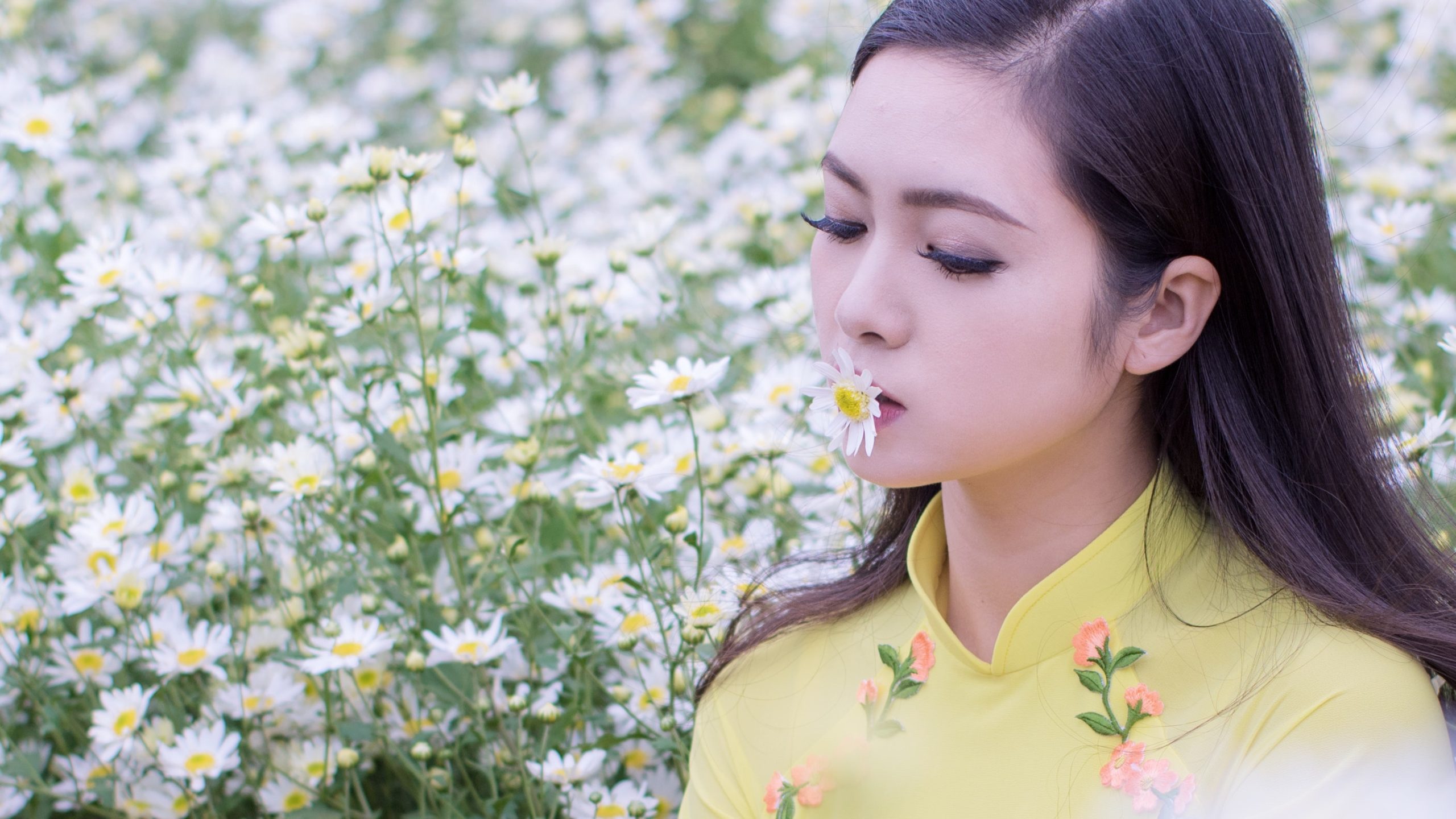 越南婚礼中的新娘迎娶仪式,你知道它背后的传统与意义吗? 一